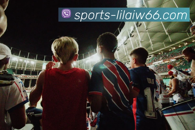 多媒体互动体验